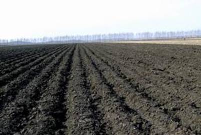 家晨富硒大米(富硒大米口感如何)-硒宝网