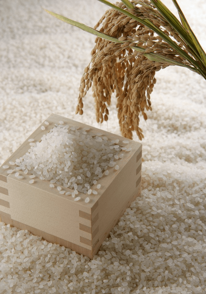 富硒大米电商(富硒优质大米)-硒宝网