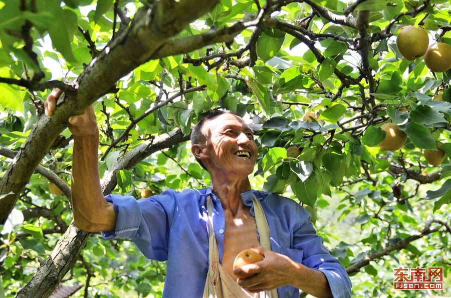 富硒大米德化(富硒大米的标准是多少)-硒宝网