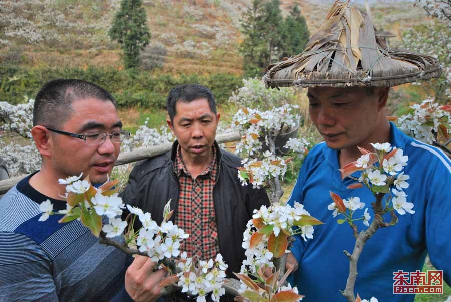 富硒大米德化(富硒大米的标准是多少)-硒宝网