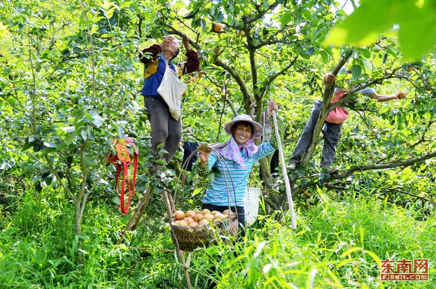 富硒大米德化(富硒大米的标准是多少)-硒宝网