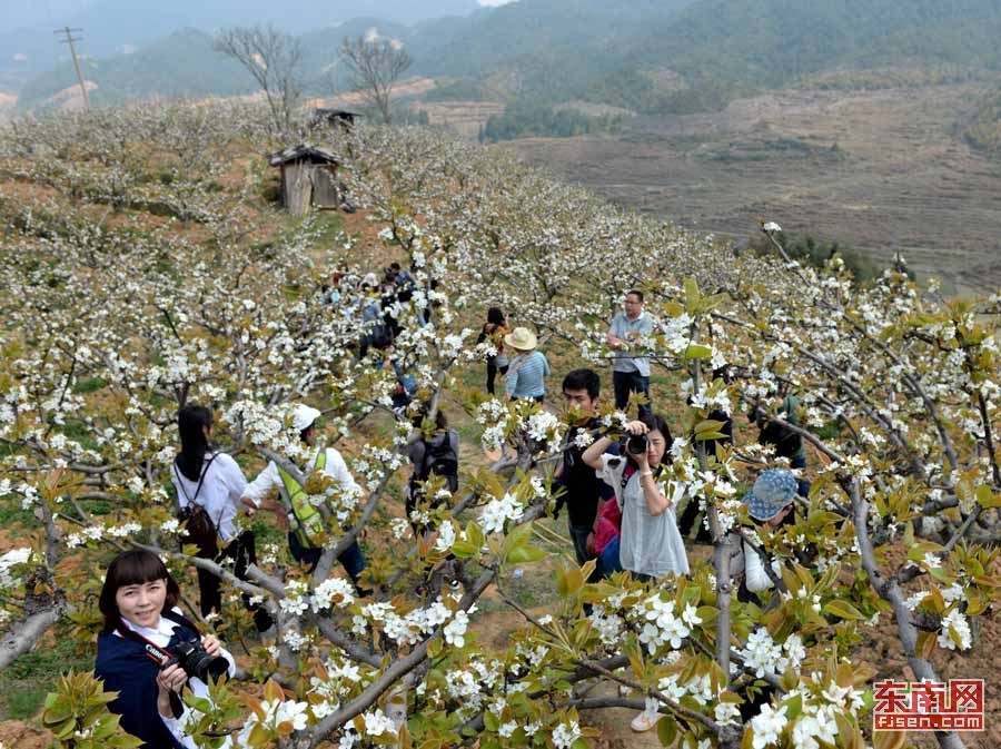 富硒大米德化(富硒大米的标准是多少)-硒宝网