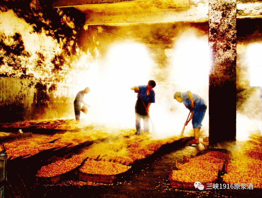 富硒大米面世(大米富硒含量标准)-硒宝网