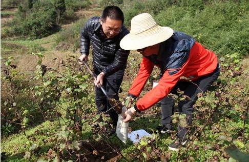巴州富硒大米（富硒优质大米）-硒宝网
