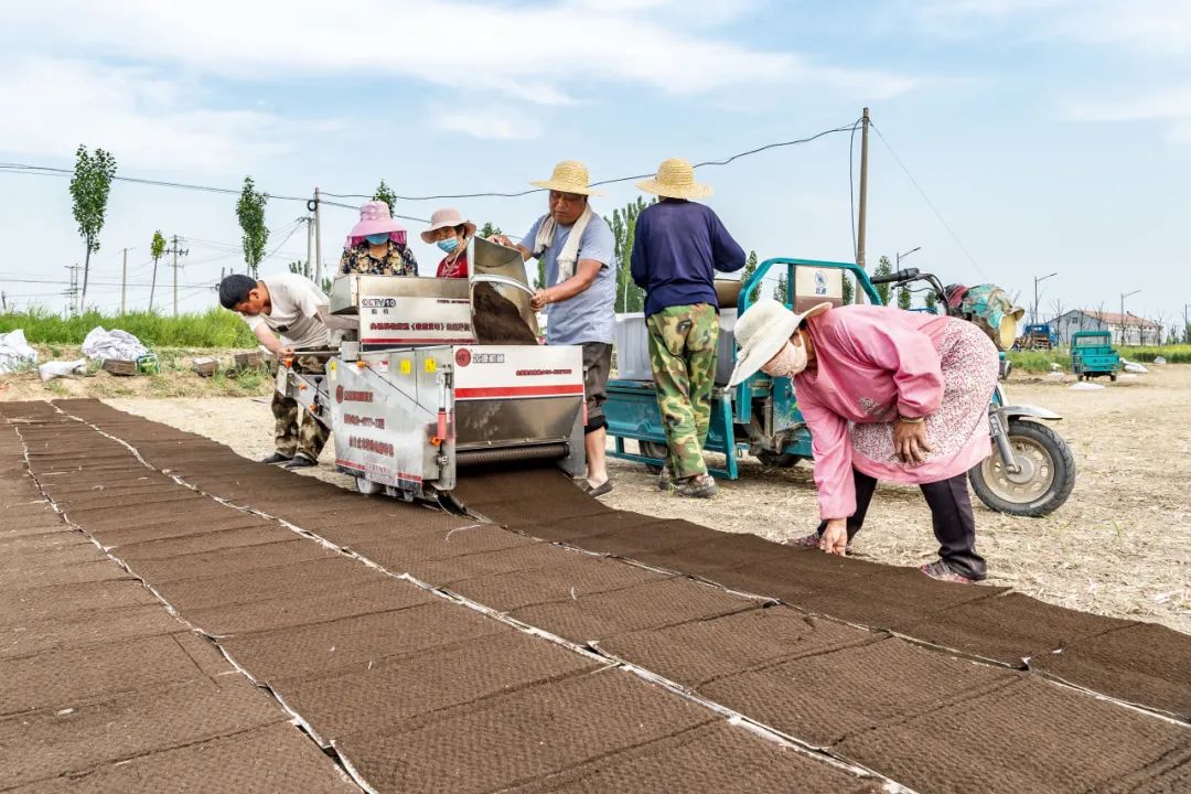 皖村富硒大米（安徽富硒大米多少钱一斤）-硒宝网