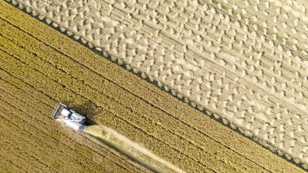 皖村富硒大米（安徽富硒大米多少钱一斤）-硒宝网