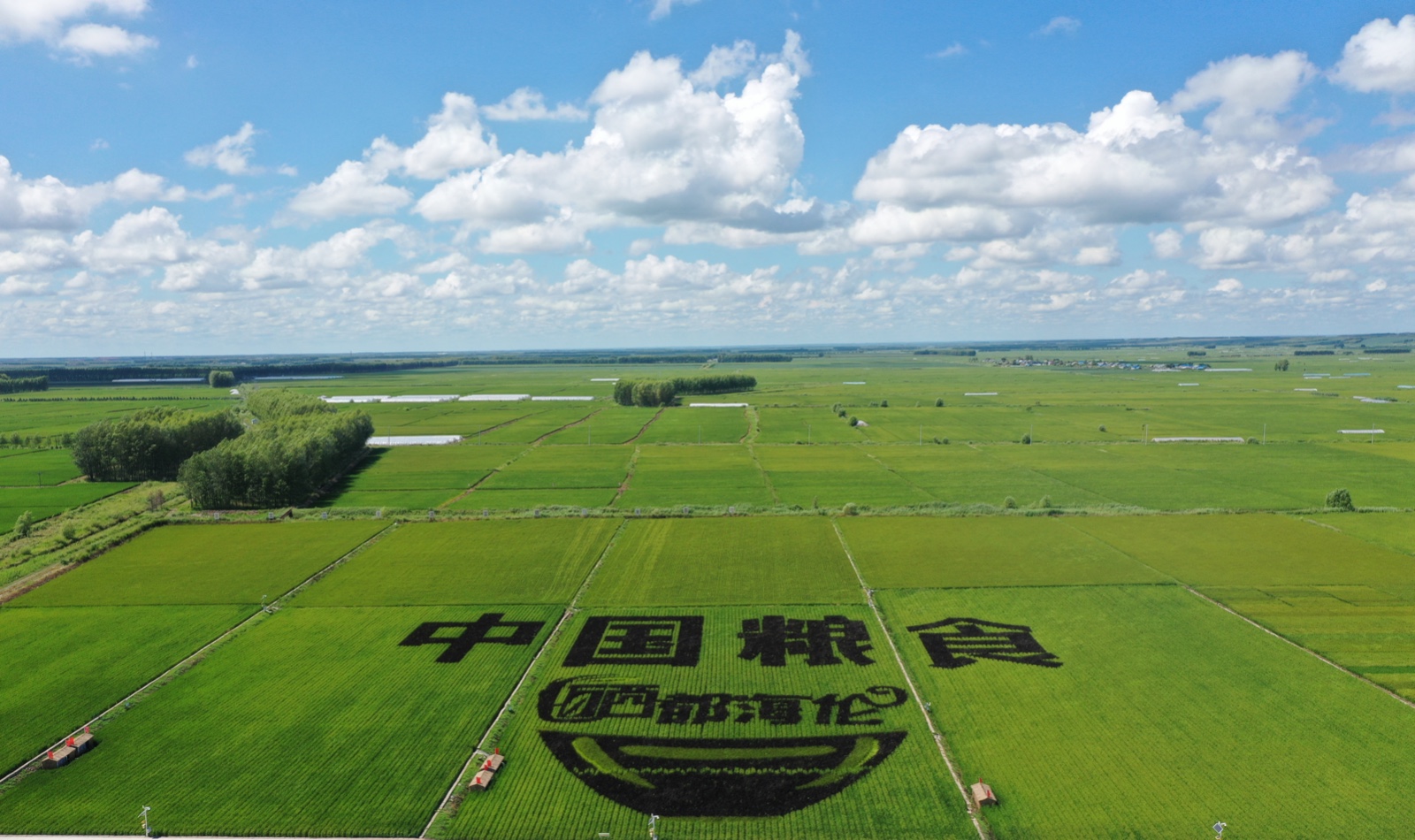 奉采富硒大米(富硒大米好在哪)-硒宝网