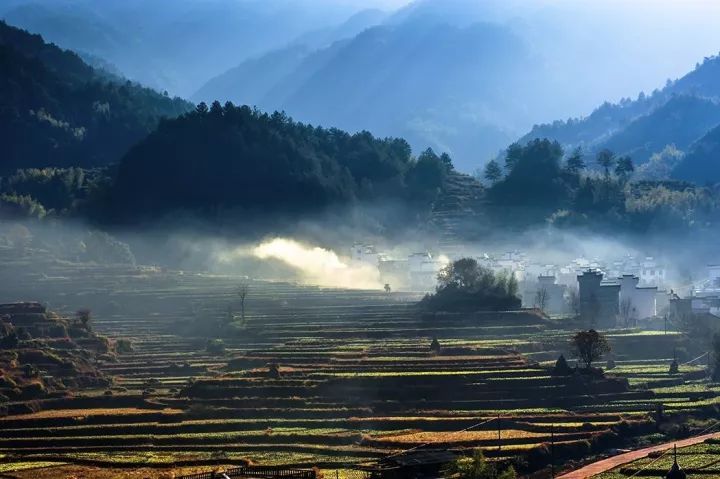 国沃富硒大米(富硒大米多少钱一袋)-硒宝网