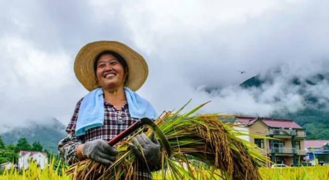 国沃富硒大米(富硒大米多少钱一袋)-硒宝网