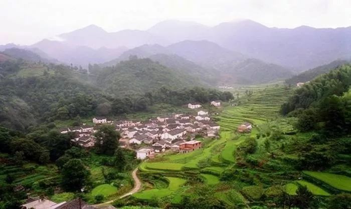 国沃富硒大米(富硒大米多少钱一袋)-硒宝网