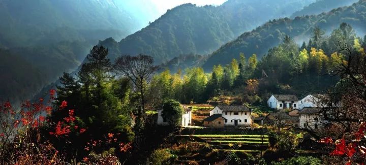 国沃富硒大米(富硒大米多少钱一袋)-硒宝网