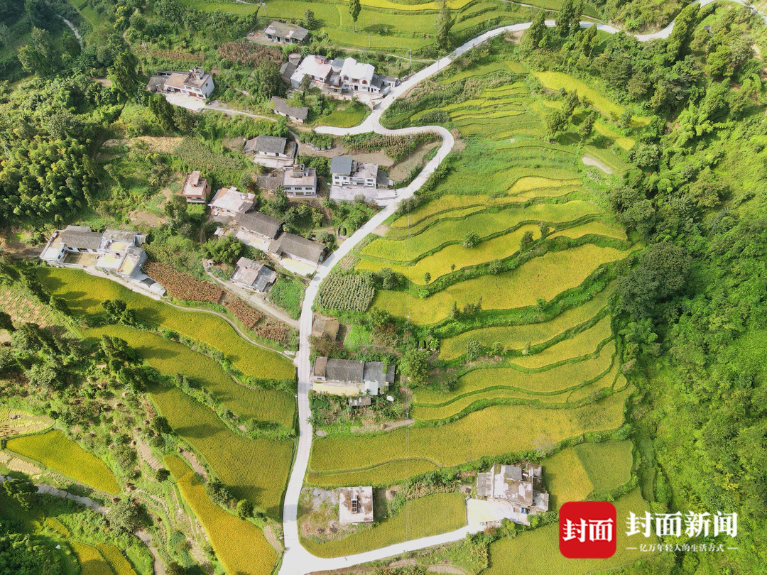 川凤富硒大米(四川富硒大米)-硒宝网