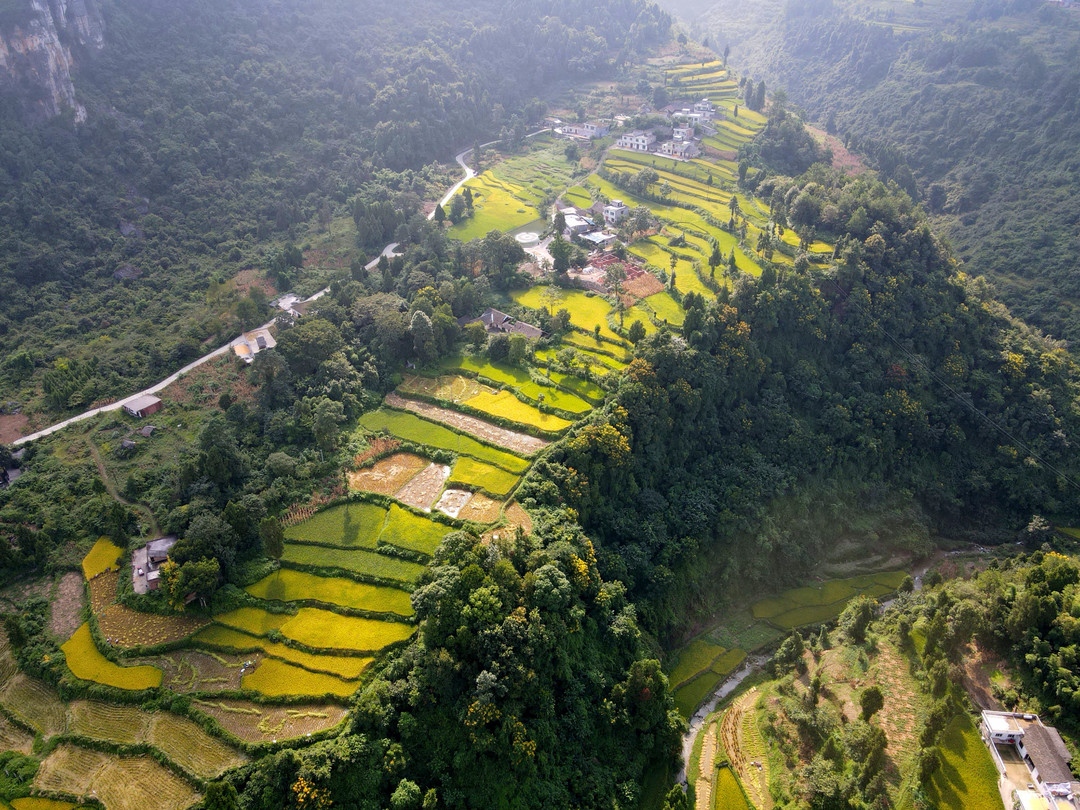 川凤富硒大米(四川富硒大米)-硒宝网
