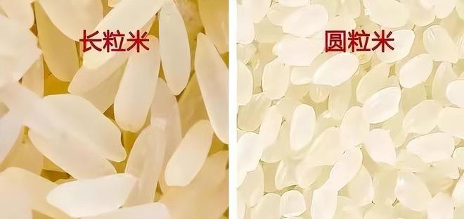 富硒大米圆粒(富硒的大米)-硒宝网