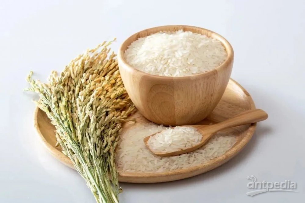 富硒大米降镉（大米降镉富硒的原理）-硒宝网