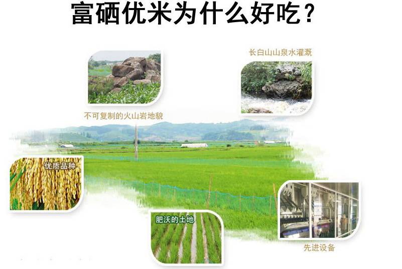 富硒大米美白（富硒的大米）-硒宝网