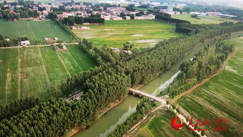 富硒大米美篇（据报道富硒大米有多种保健功能）-硒宝网