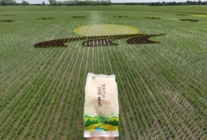 大米含富硒多（大米含富硒标准）-硒宝网