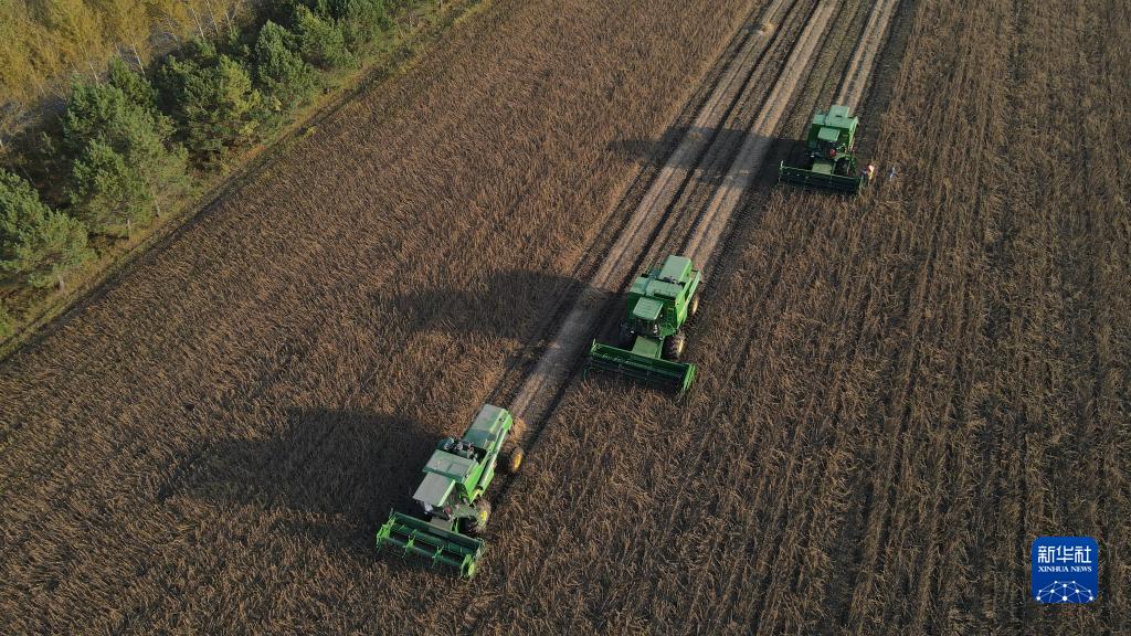 金佳富硒大米(富硒大米好吗)-硒宝网