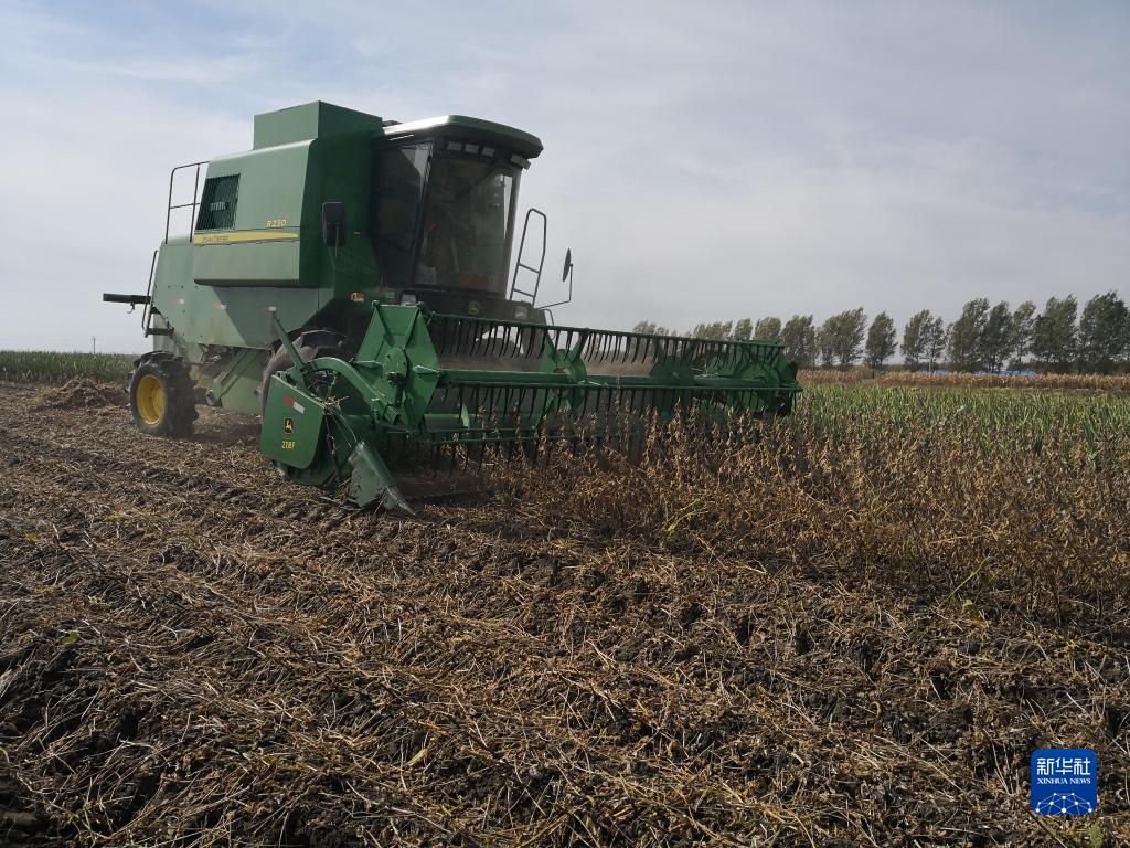 金佳富硒大米(富硒大米好吗)-硒宝网