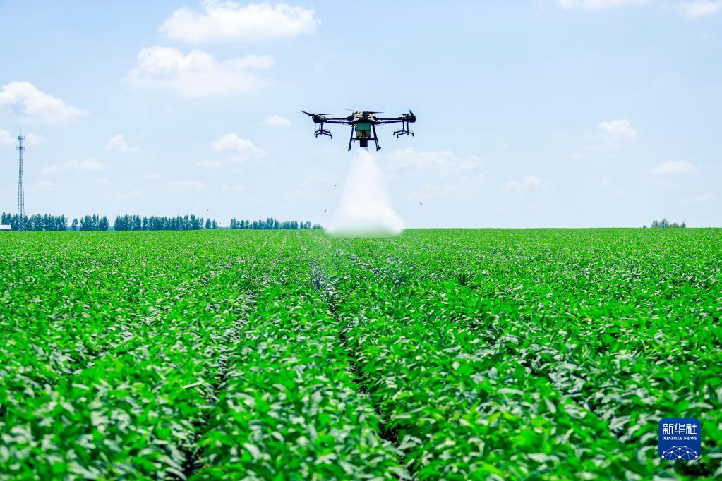 金佳富硒大米(富硒大米好吗)-硒宝网