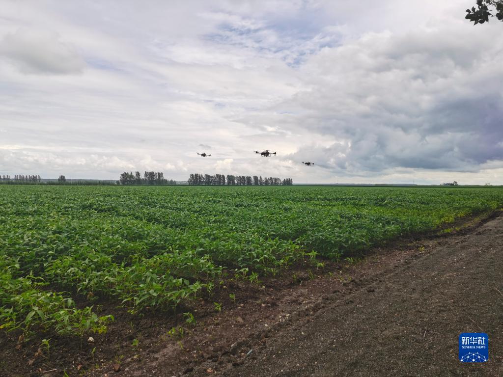 金佳富硒大米(富硒大米好吗)-硒宝网