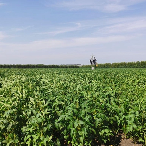 金佳富硒大米(富硒大米好吗)-硒宝网