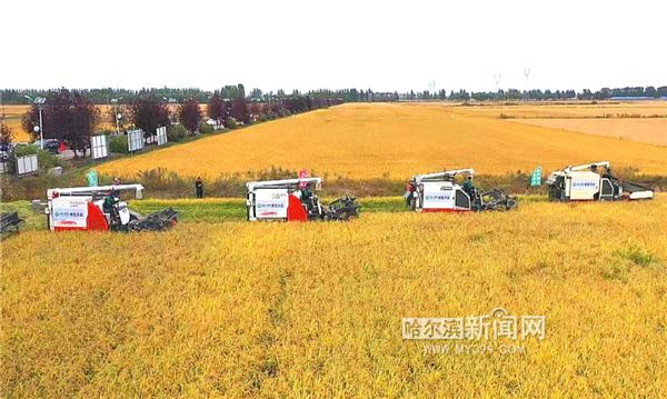 奉采富硒大米(富硒的大米)-硒宝网