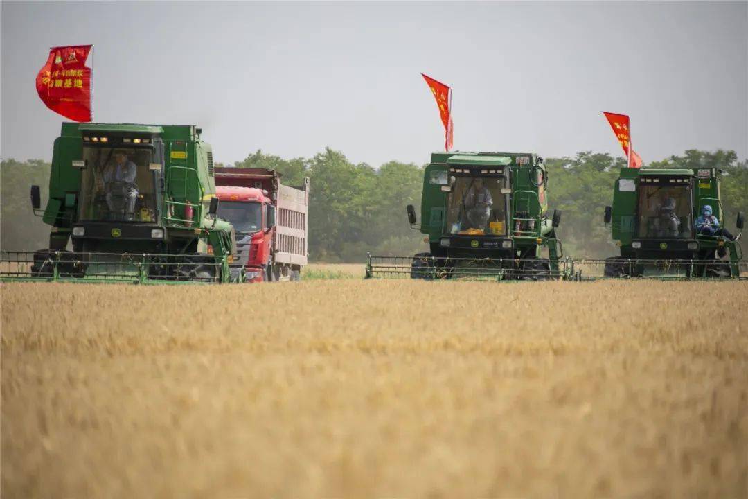 粳昊富硒大米（富硒大米的作用与功效）-硒宝网