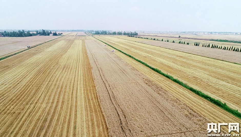 粳昊富硒大米（富硒大米的作用与功效）-硒宝网