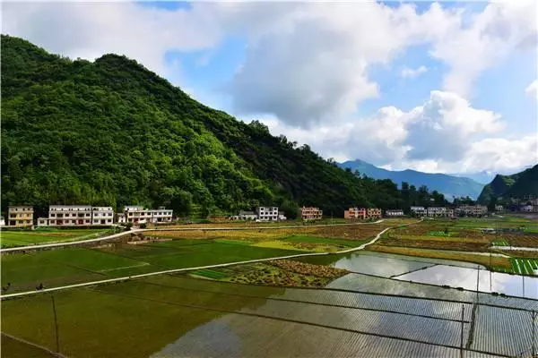 富硒大米字体（大米富硒含硒的国家标准）-硒宝网