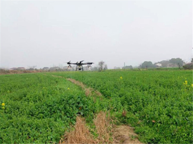 富硒大米字体（大米富硒含硒的国家标准）-硒宝网