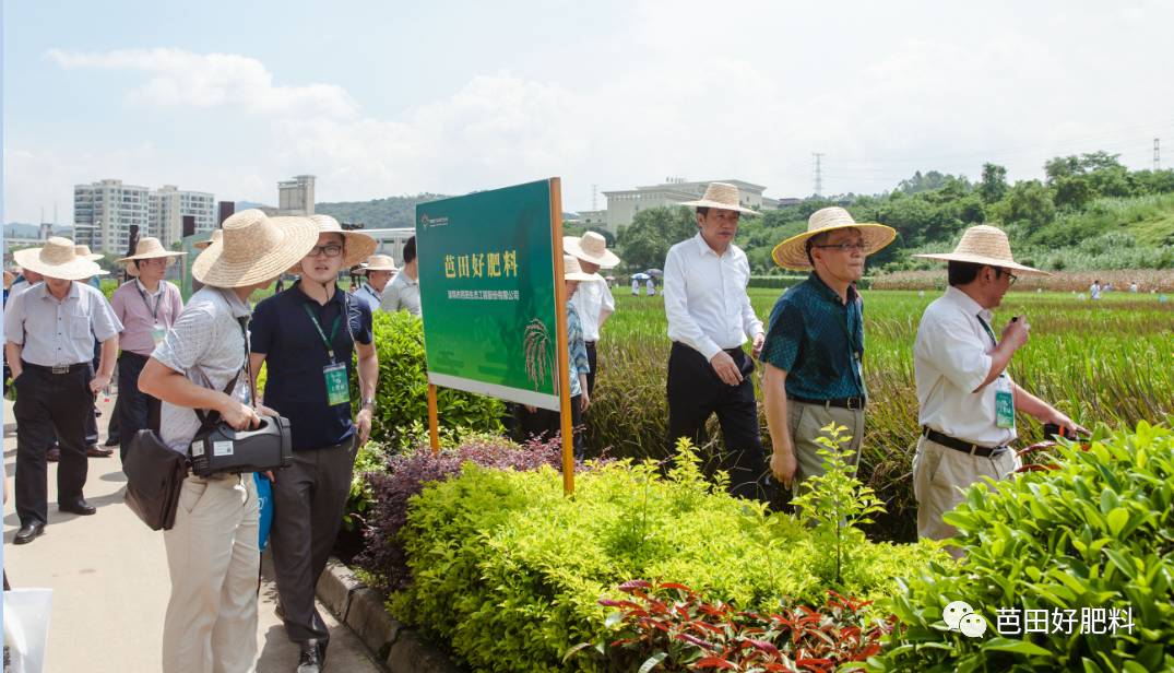 芭田富硒大米(富硒大米功效)-硒宝网