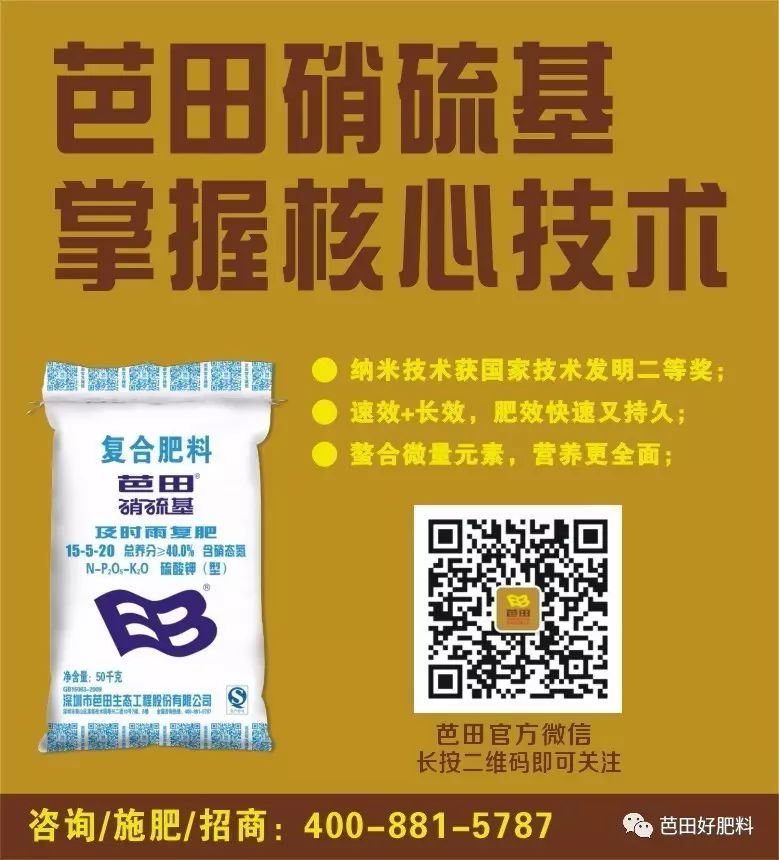 芭田富硒大米(富硒大米功效)-硒宝网