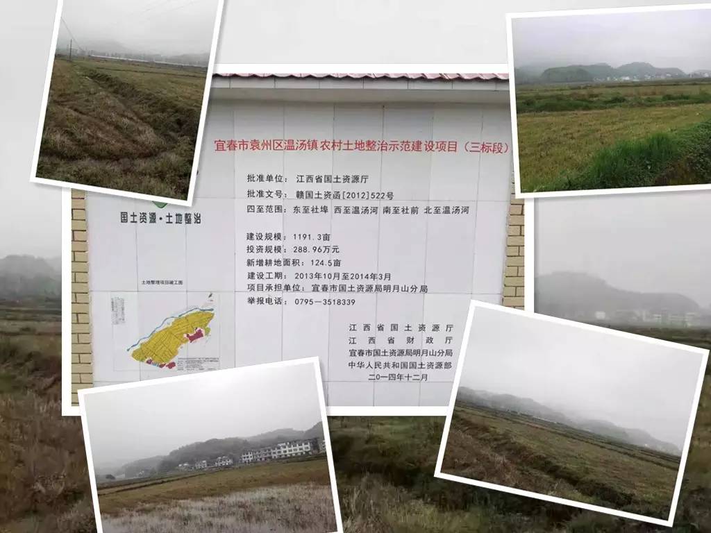 岠山富硒大米(富硒大米什么好处)-硒宝网