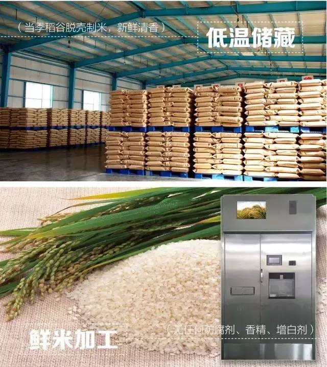 岠山富硒大米(富硒大米什么好处)-硒宝网