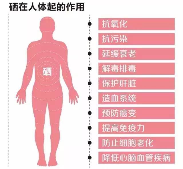 岠山富硒大米(富硒大米什么好处)-硒宝网