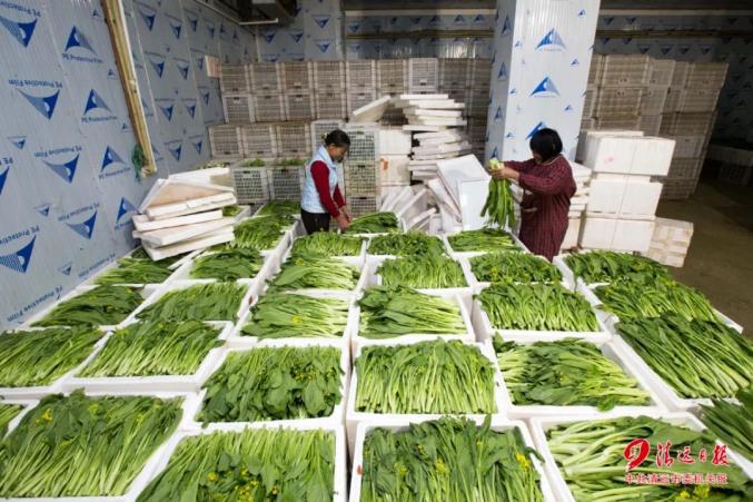 兆余富硒大米（富硒优质大米）-硒宝网