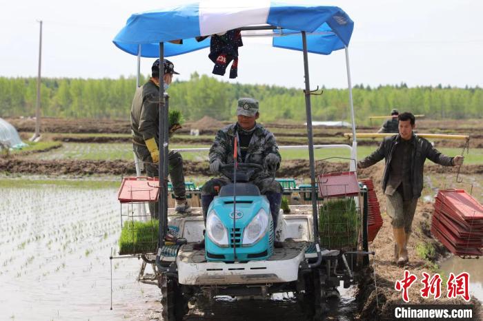 方正大米富硒(方正富硒米多少钱一斤)-硒宝网