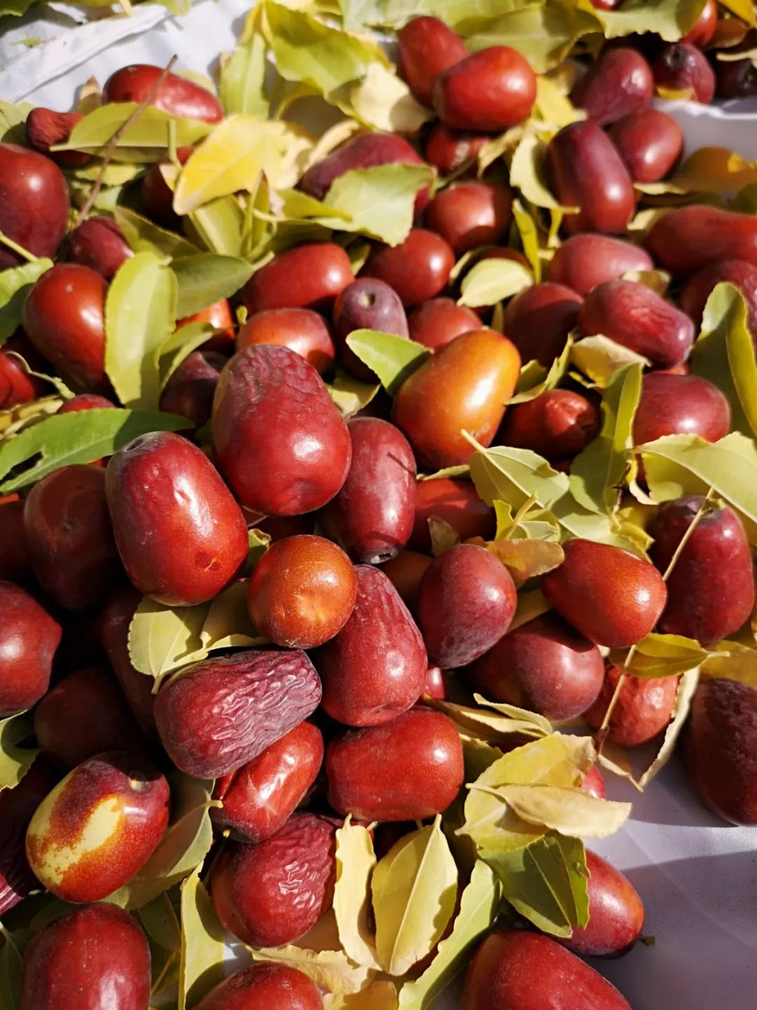 瑞杰富硒大米(富硒优质大米)-硒宝网