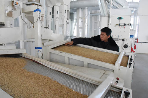 梅河大米富硒（吉林富硒大米）-硒宝网