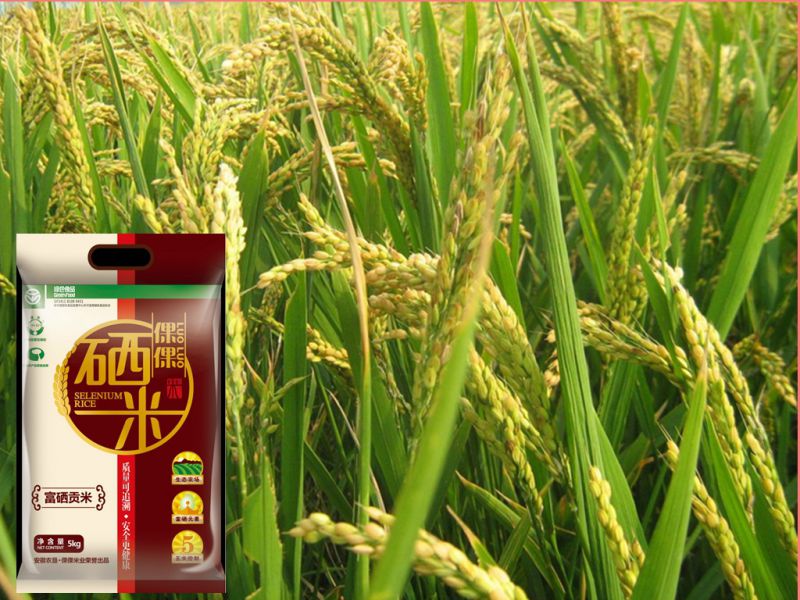 御鼠富硒大米（大米鼠图片）-硒宝网