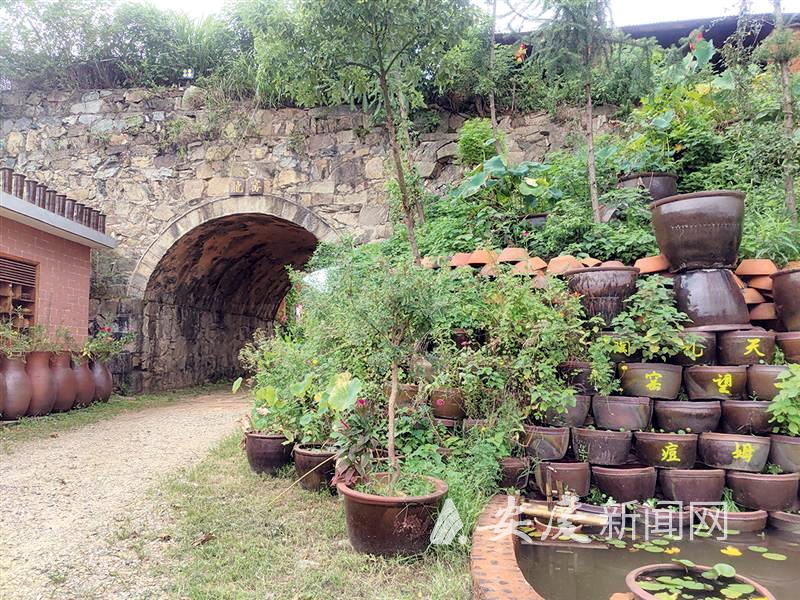 陶老富硒大米(富硒大米好在哪)-硒宝网