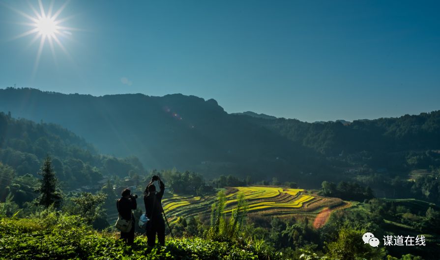 支罗富硒大米(富硒大米能补硒吗)-硒宝网
