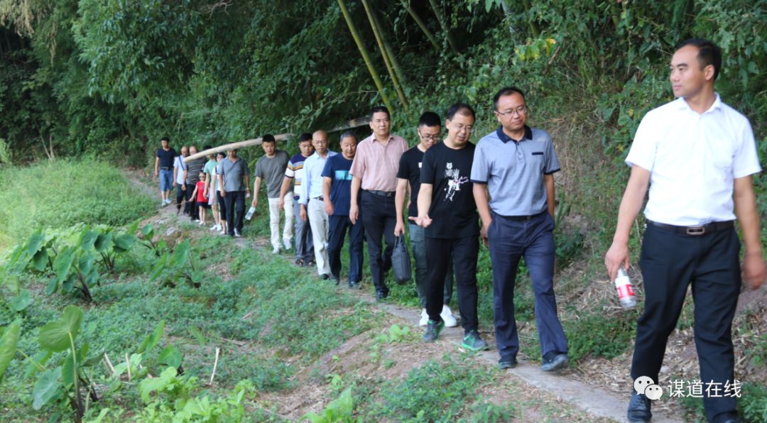 支罗富硒大米(富硒大米能补硒吗)-硒宝网