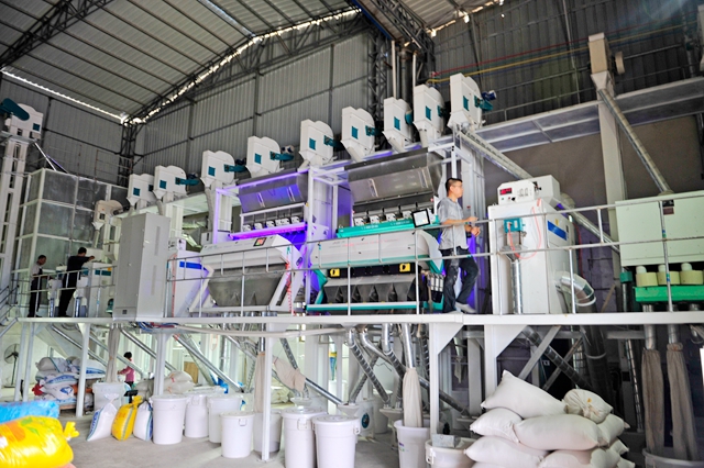 托县富硒大米(富硒优质大米)-硒宝网