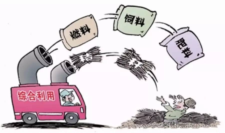 和安富硒大米(据报道富硒大米有多种保健功能)-硒宝网