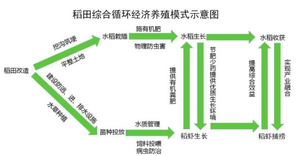 和安富硒大米(据报道富硒大米有多种保健功能)-硒宝网