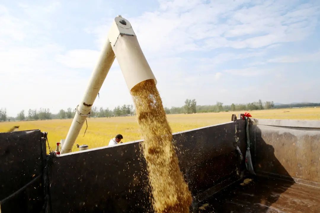 岠山富硒大米(富硒大米好吃吗)-硒宝网