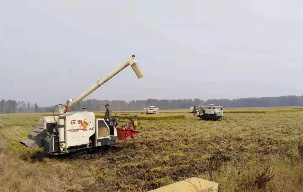 岠山富硒大米(富硒大米好吃吗)-硒宝网